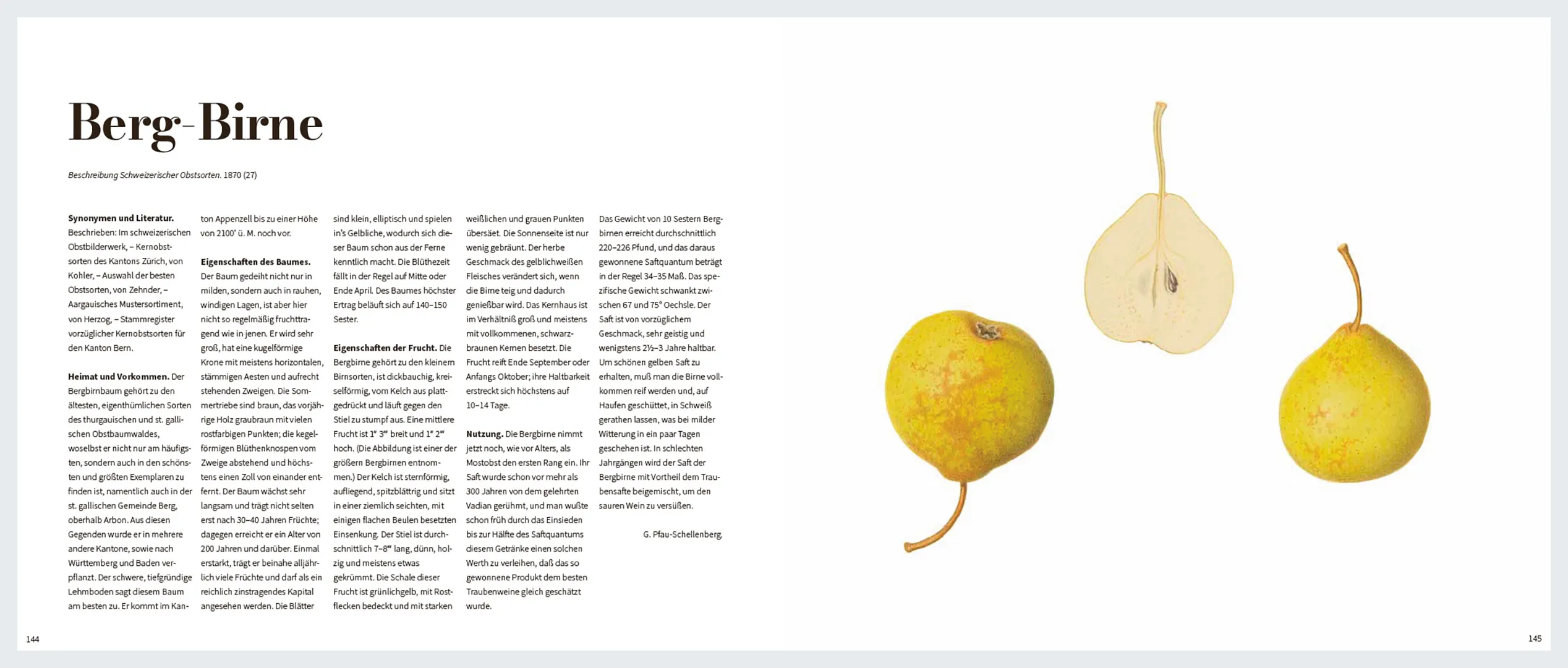 Sample Content (Image) Von edlem, süßweinartigem Zuckergeschmacke