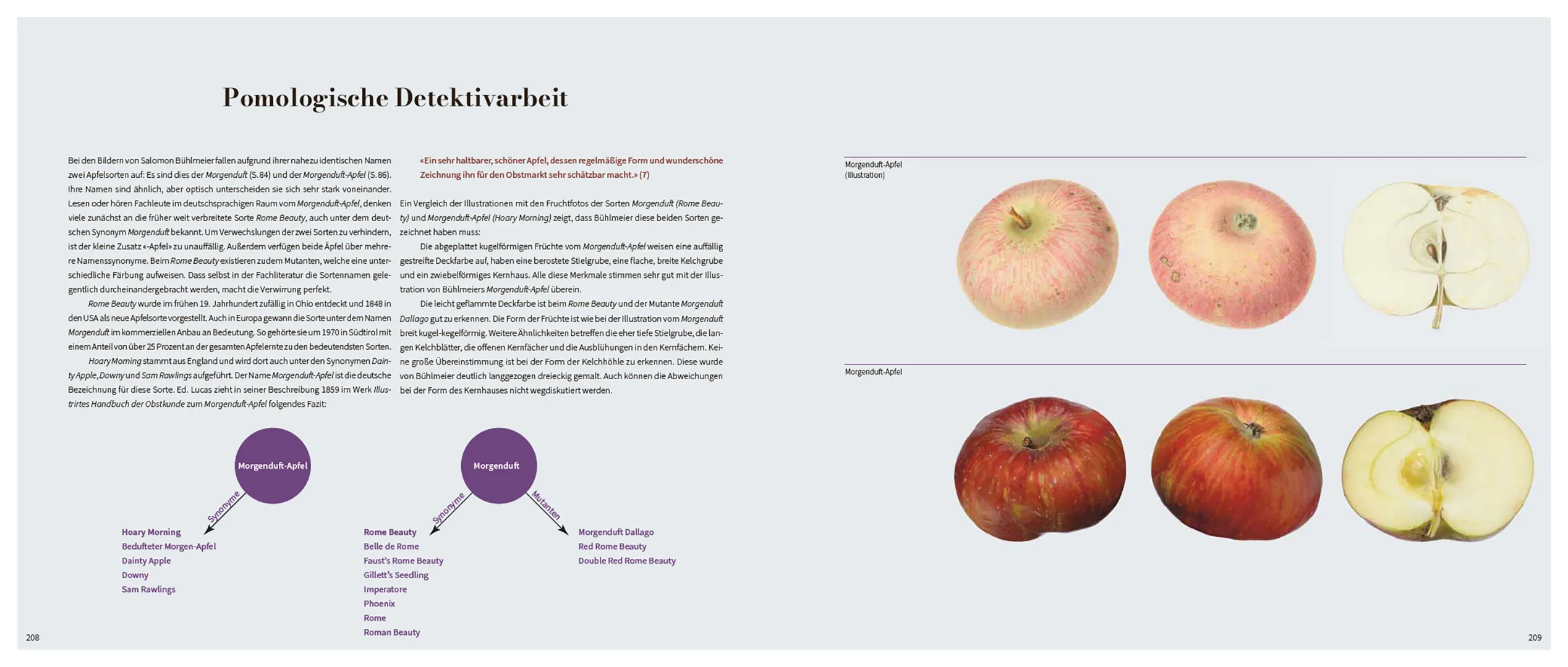Sample Content (Image) Von edlem, süßweinartigem Zuckergeschmacke