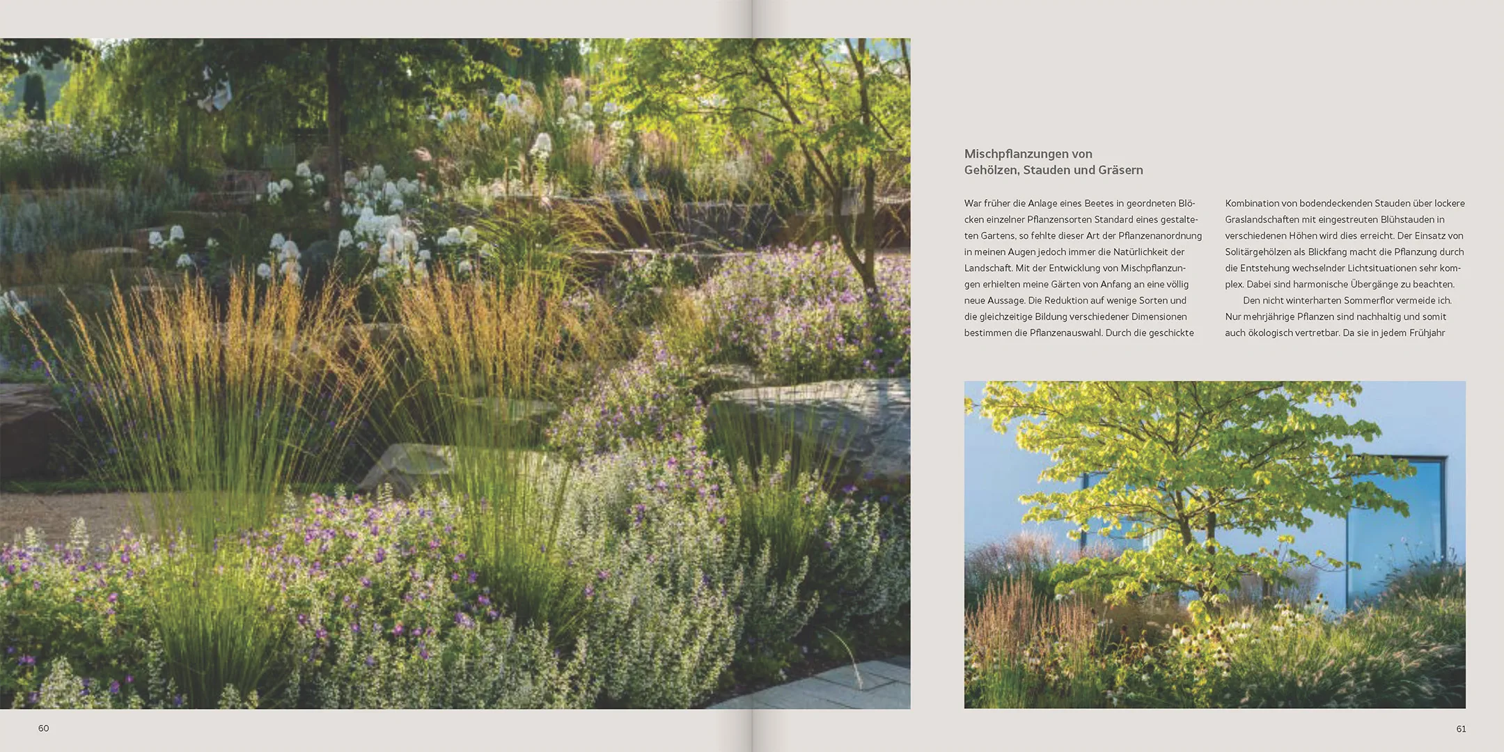 Sample Content (Image) Natur, Ästhetik, Design