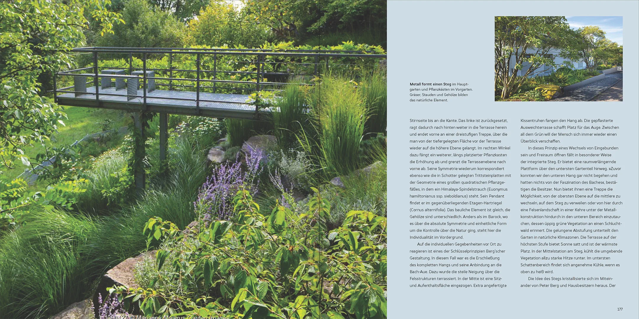 Sample Content (Image) Natur, Ästhetik, Design