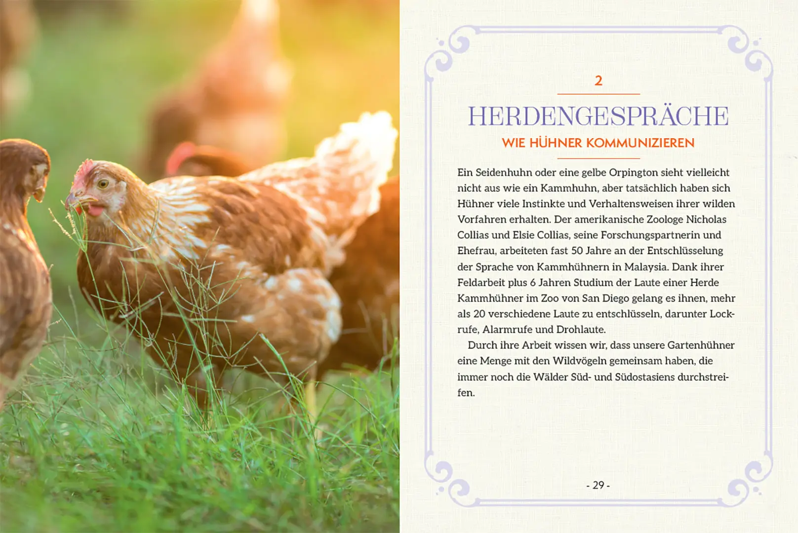 Sample Content (Image) How to Read a Chicken's Mind