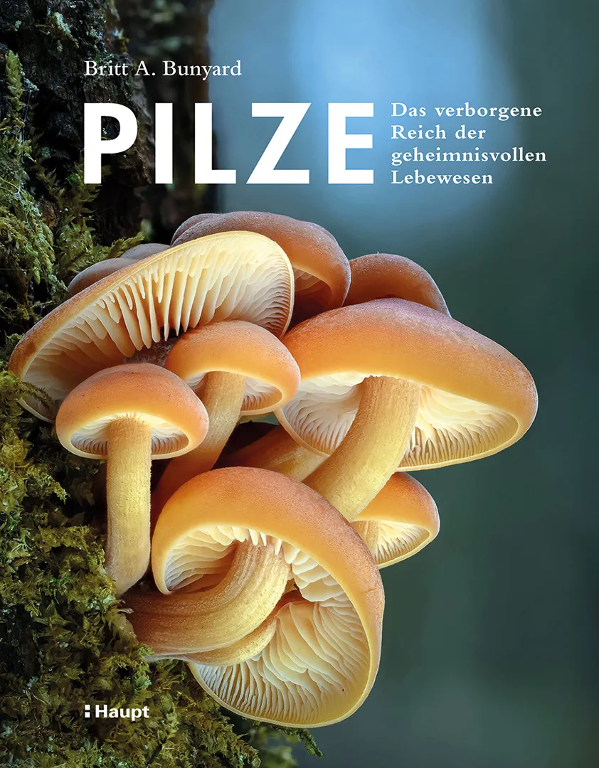 Front Cover Image Pilze