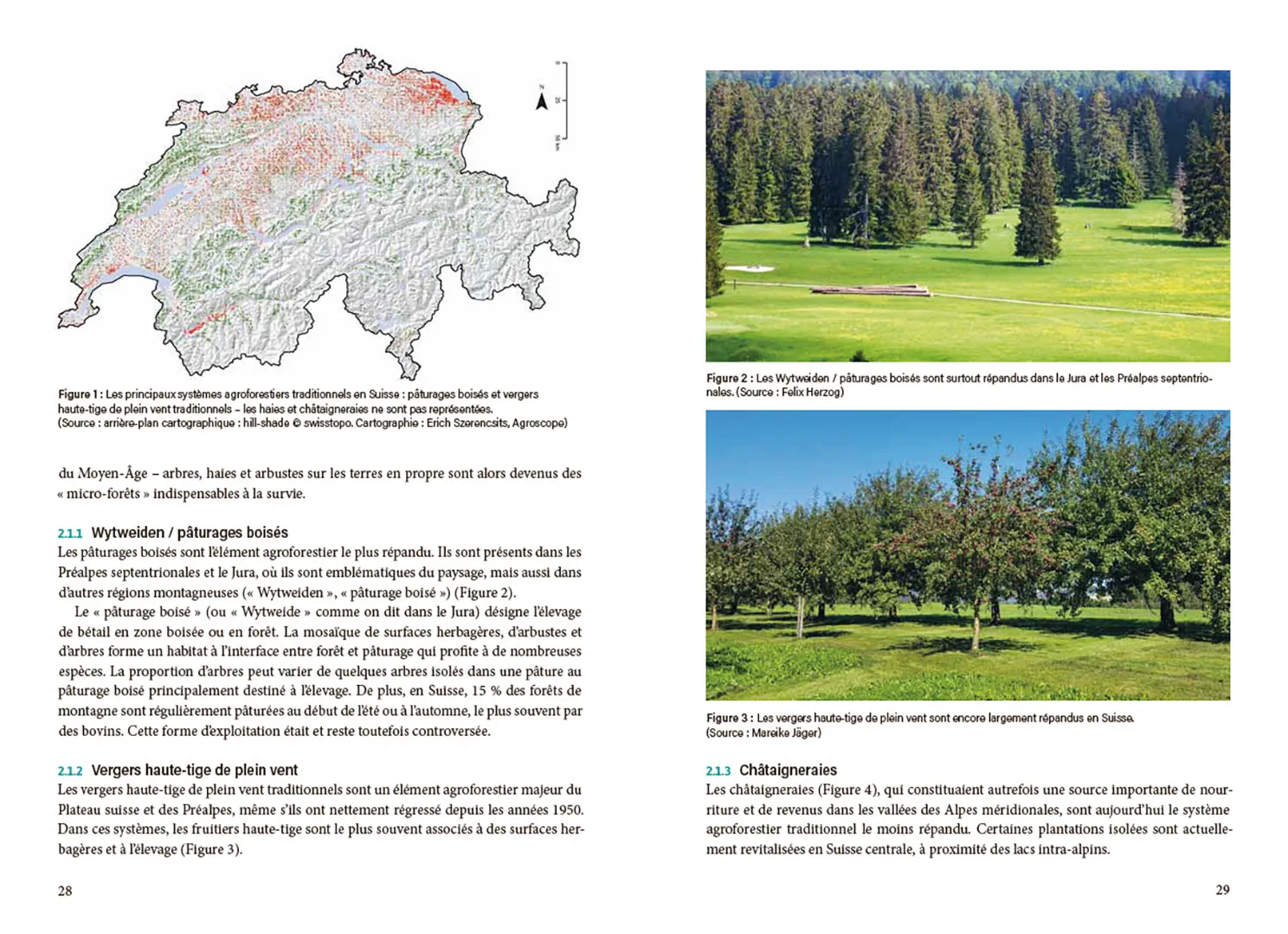 Sample Content (Image) La pratique agroforestière en Suisse