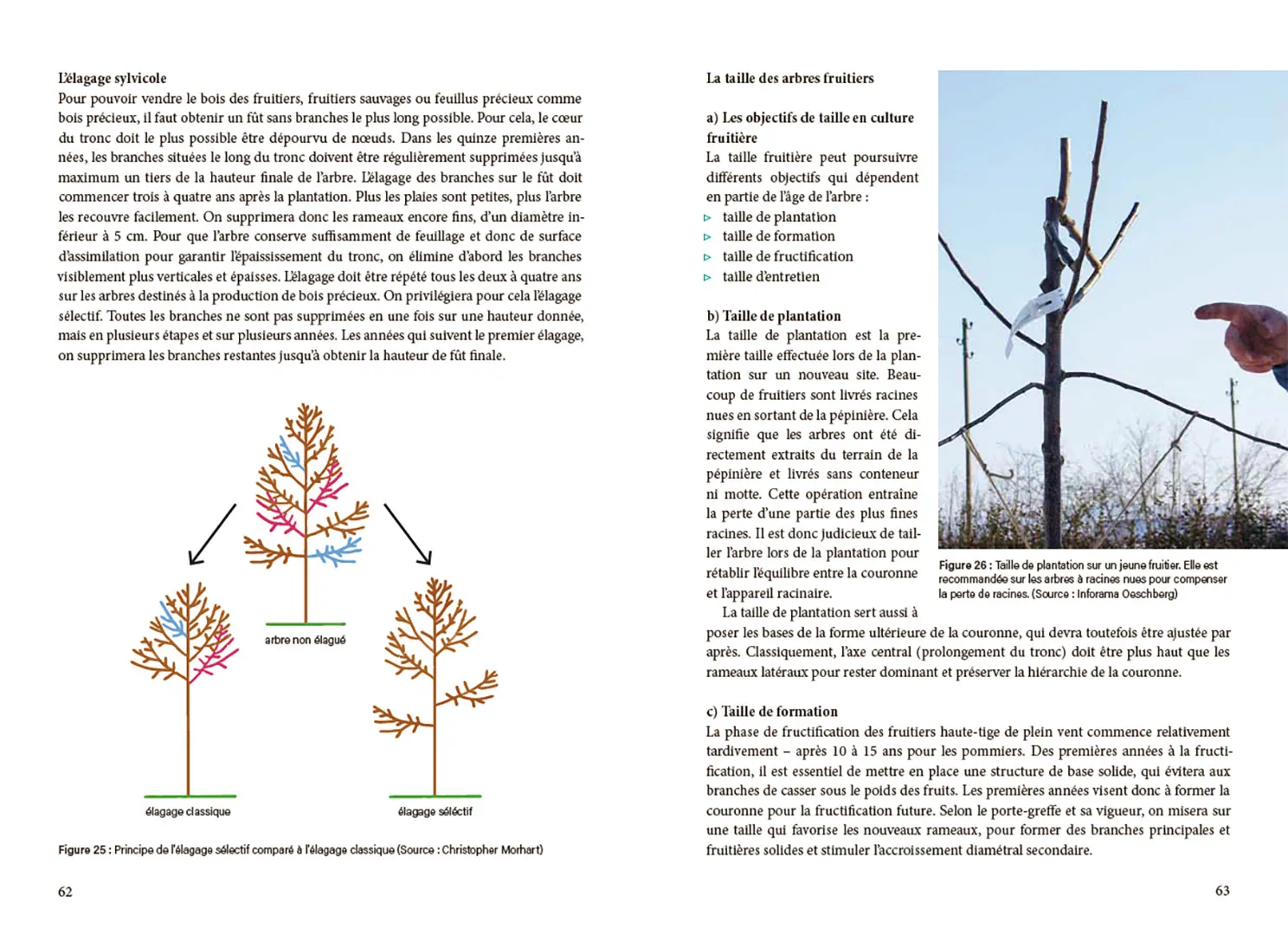 Sample Content (Image) La pratique agroforestière en Suisse