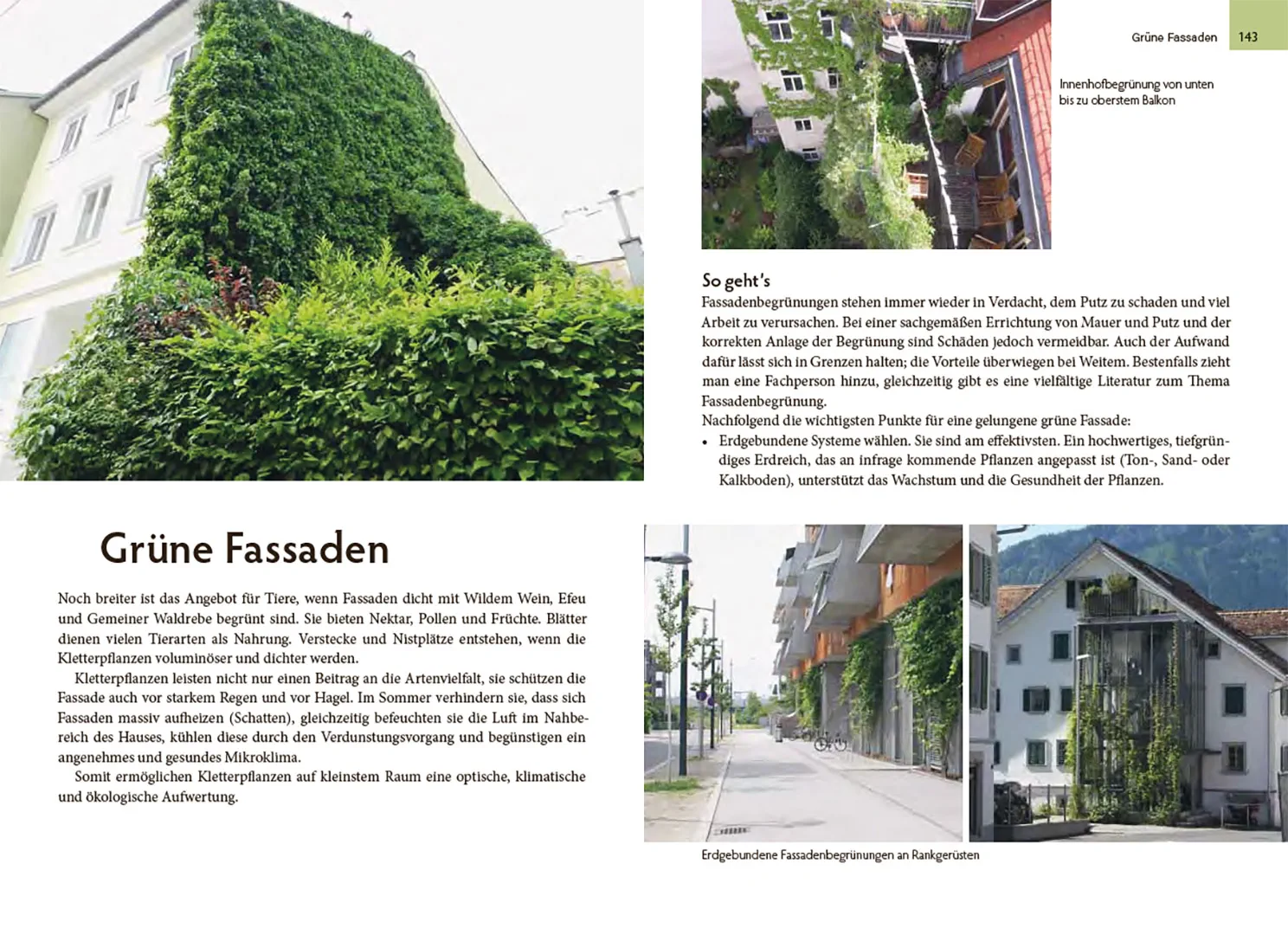 Sample Content (Image) Wildtiere am Haus
