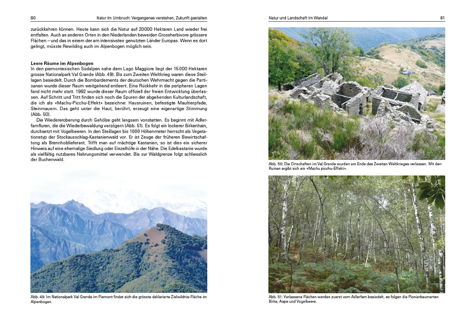 Sample Content (Image) Natur im Umbruch: Vergangenes verstehen, Zukunft gestalten