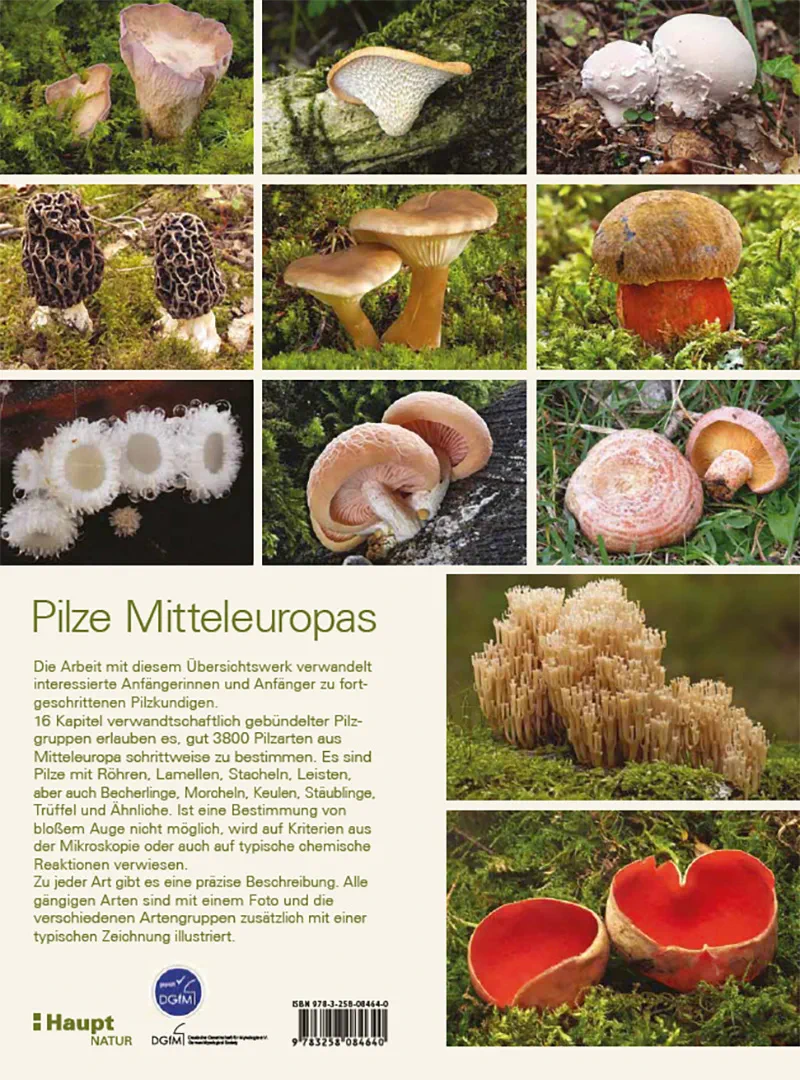 Back Cover Image Pilze Mitteleuropas