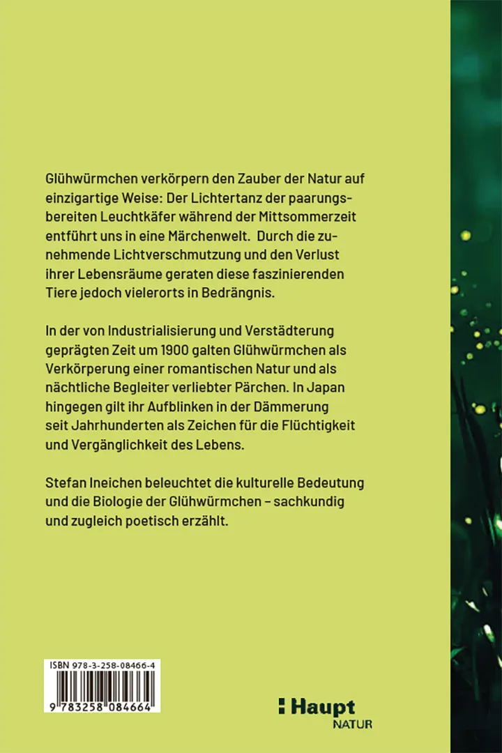 Back Cover Image Glühwürmchen