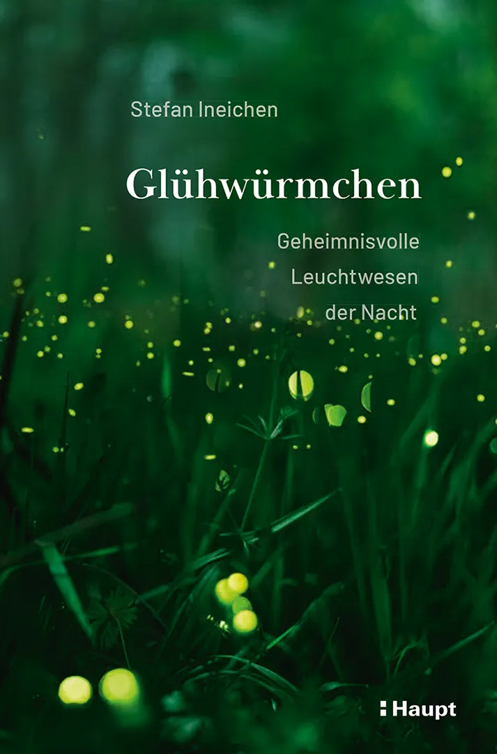 Front Cover Image Glühwürmchen