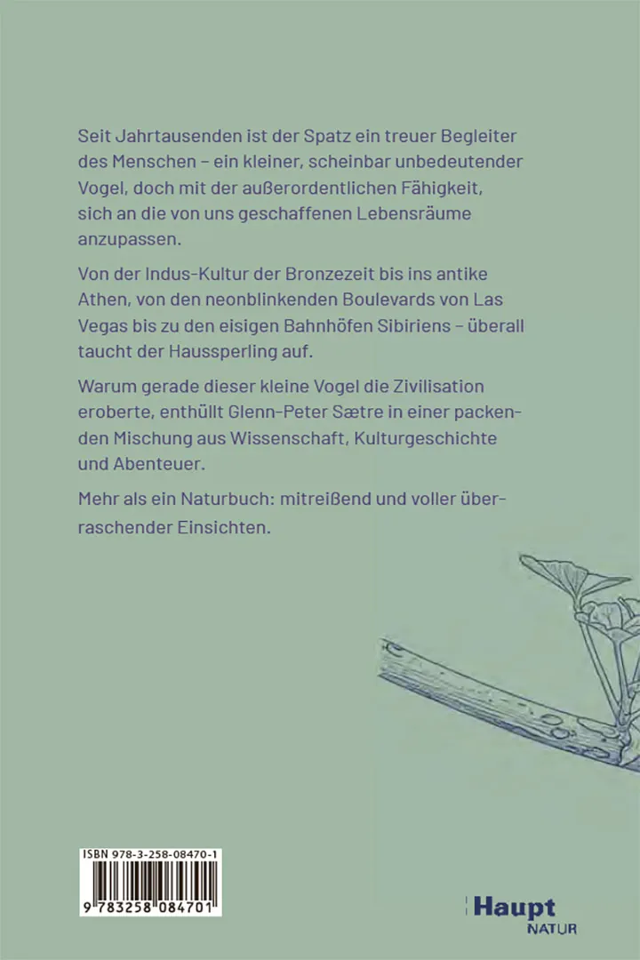 Back Cover Image Der Spatz