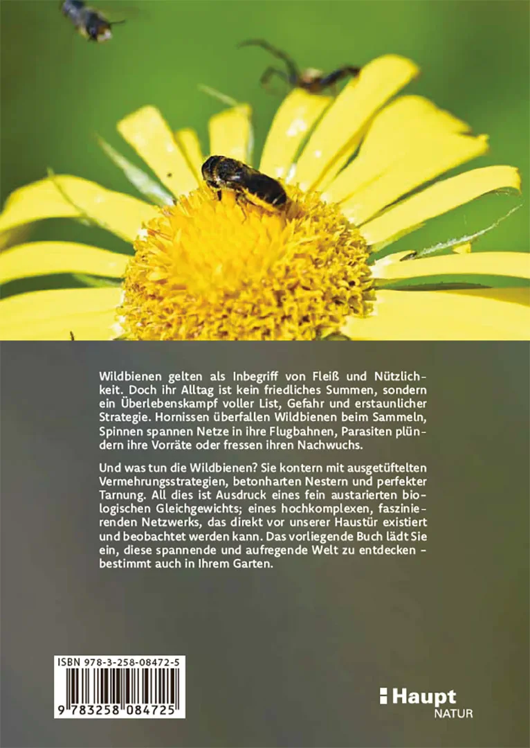 Back Cover Image Wildbienen haben es auch nicht leicht