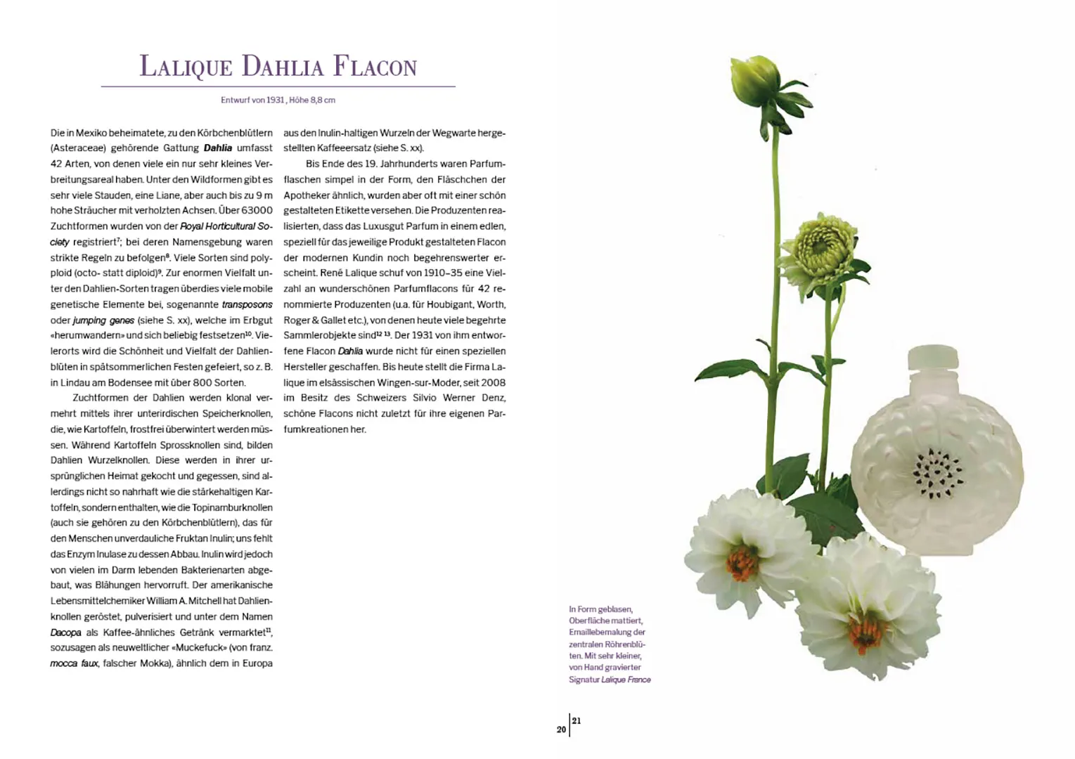 Sample Content (Image) Das Herbarium floraler Dekore