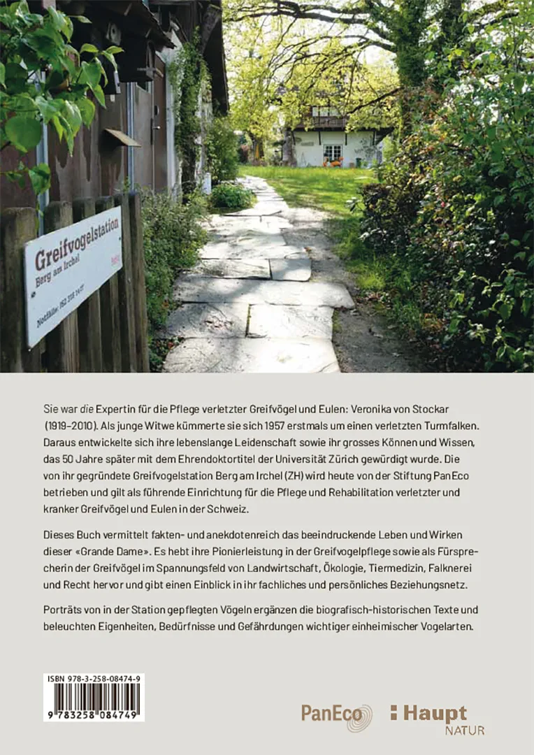 Back Cover Image Nachmittags regnet es Bussarde