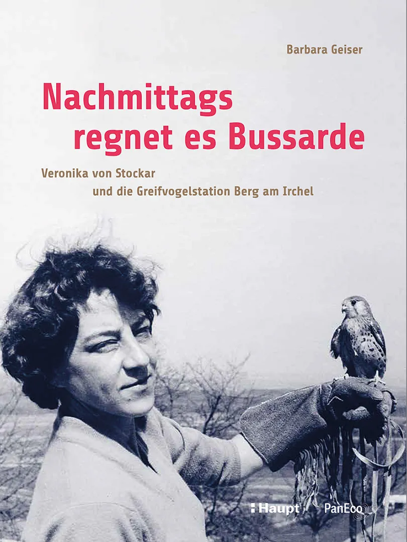 Front Cover Image Nachmittags regnet es Bussarde