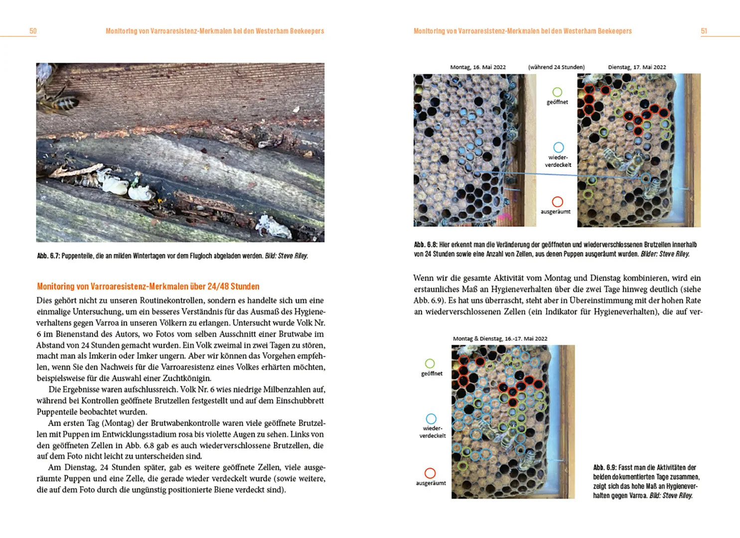 Sample Content (Image) Die Lösung der Honigbiene für das Varroa-Problem