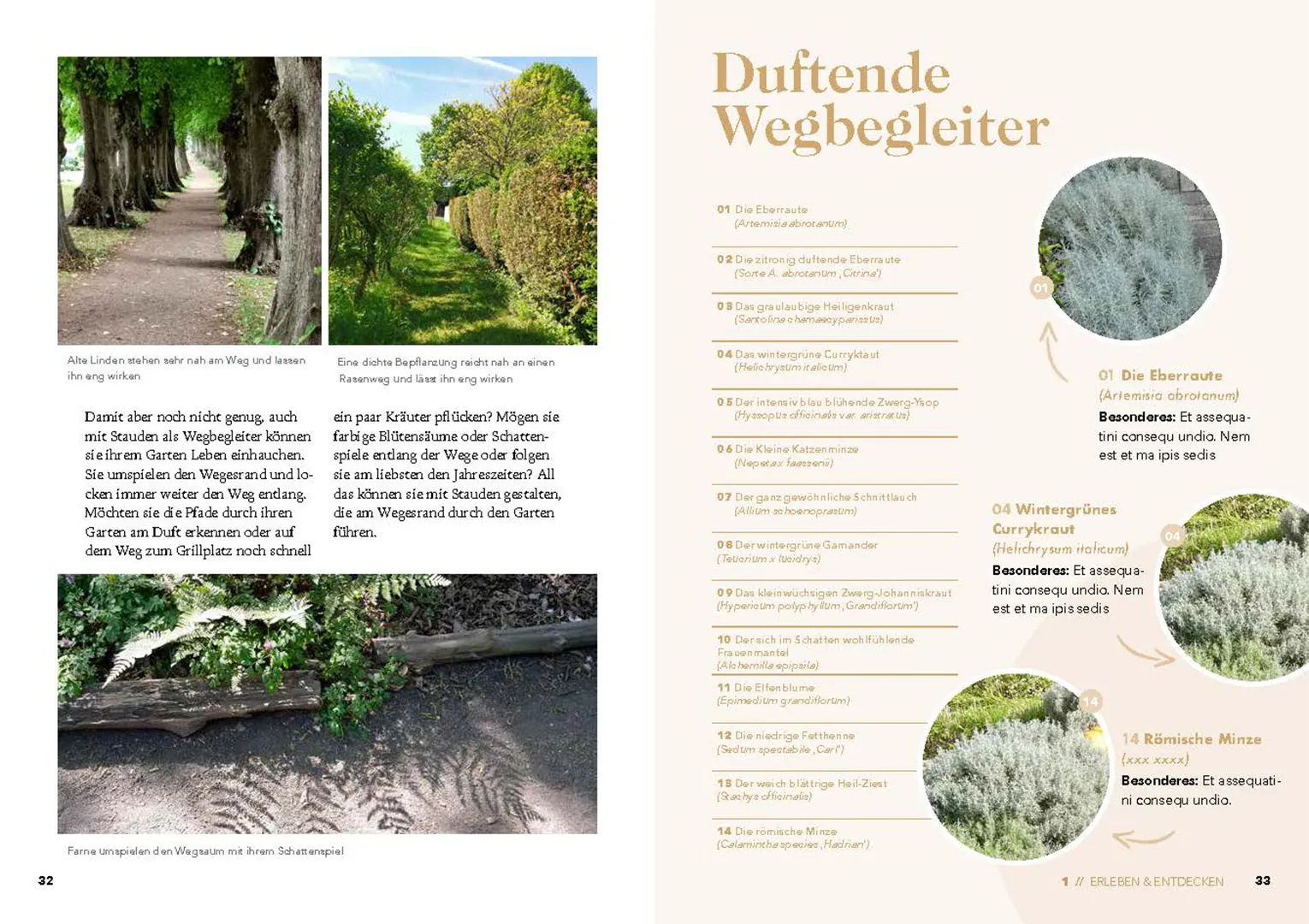 Sample Content (Image) Grün und glücklich