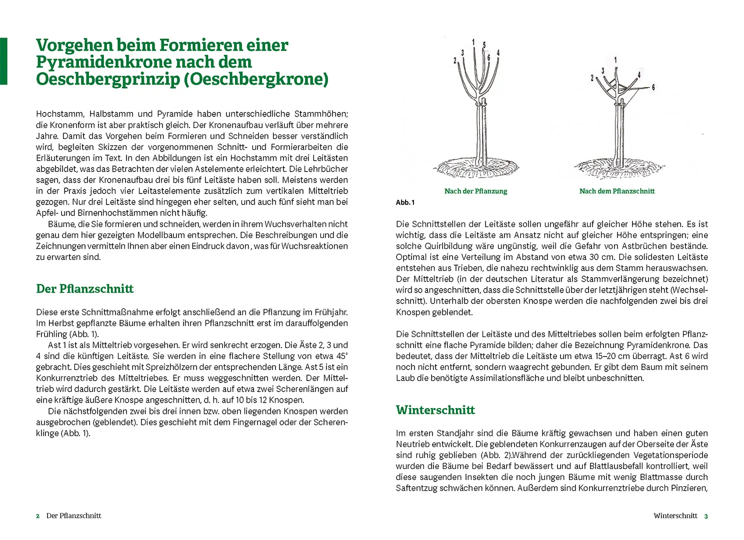 Sample Content (Image) Obstbaumschnitt nach dem Oeschberg-Prinzip