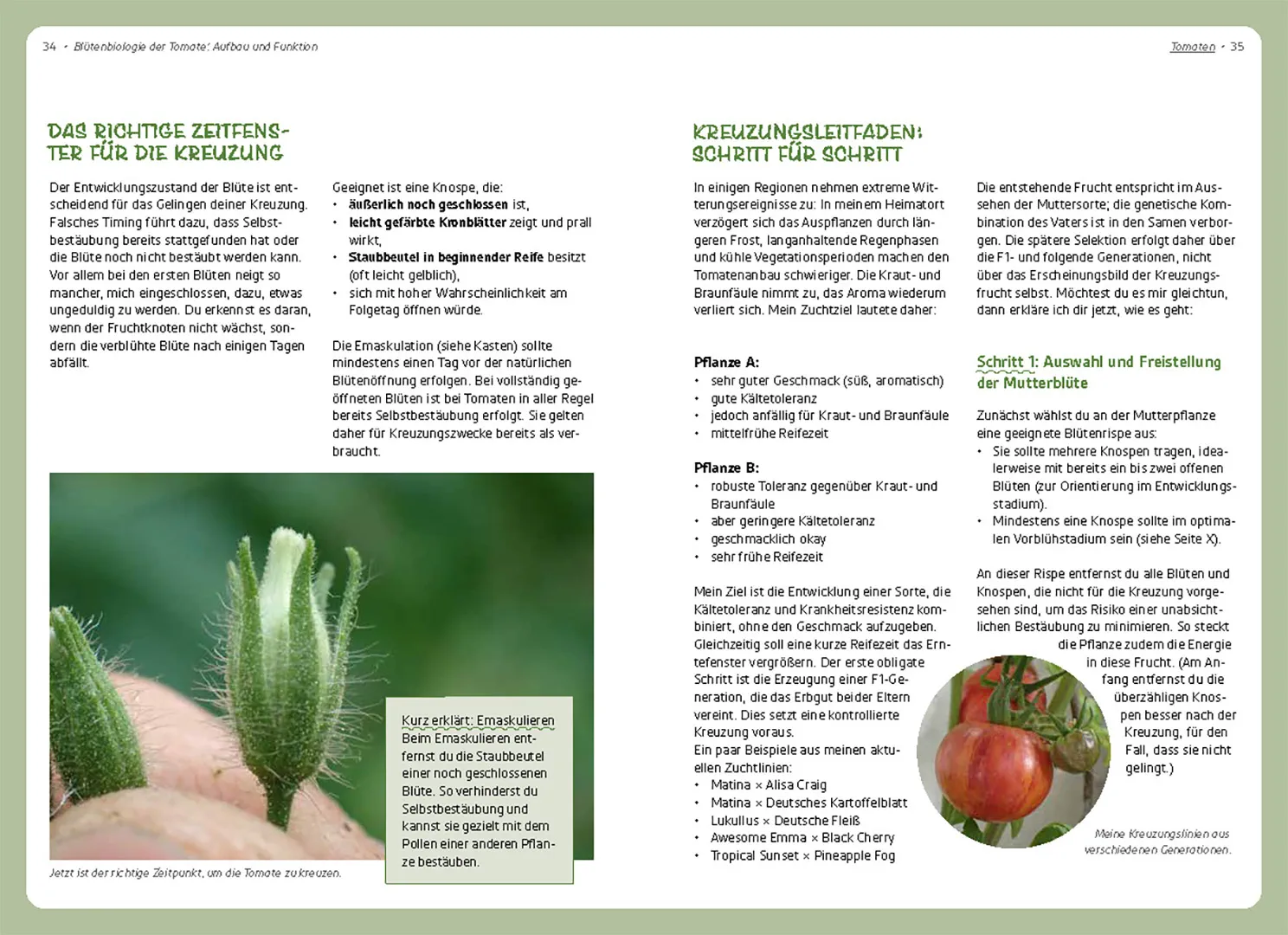 Sample Content (Image) Wenn die Paprika mit der Chili