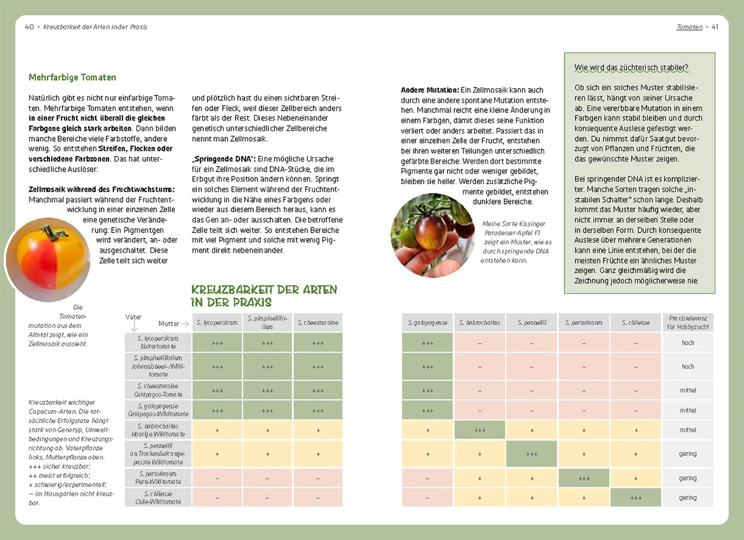 Sample Content (Image) Wenn die Paprika mit der Chili