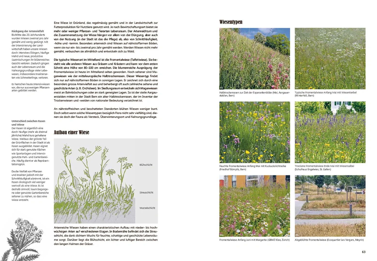 Sample Content (Image) Praxishandbuch Stadtnatur