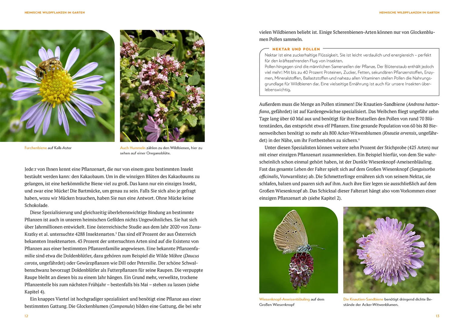 Sample Content (Image) Mein Garten als Arche