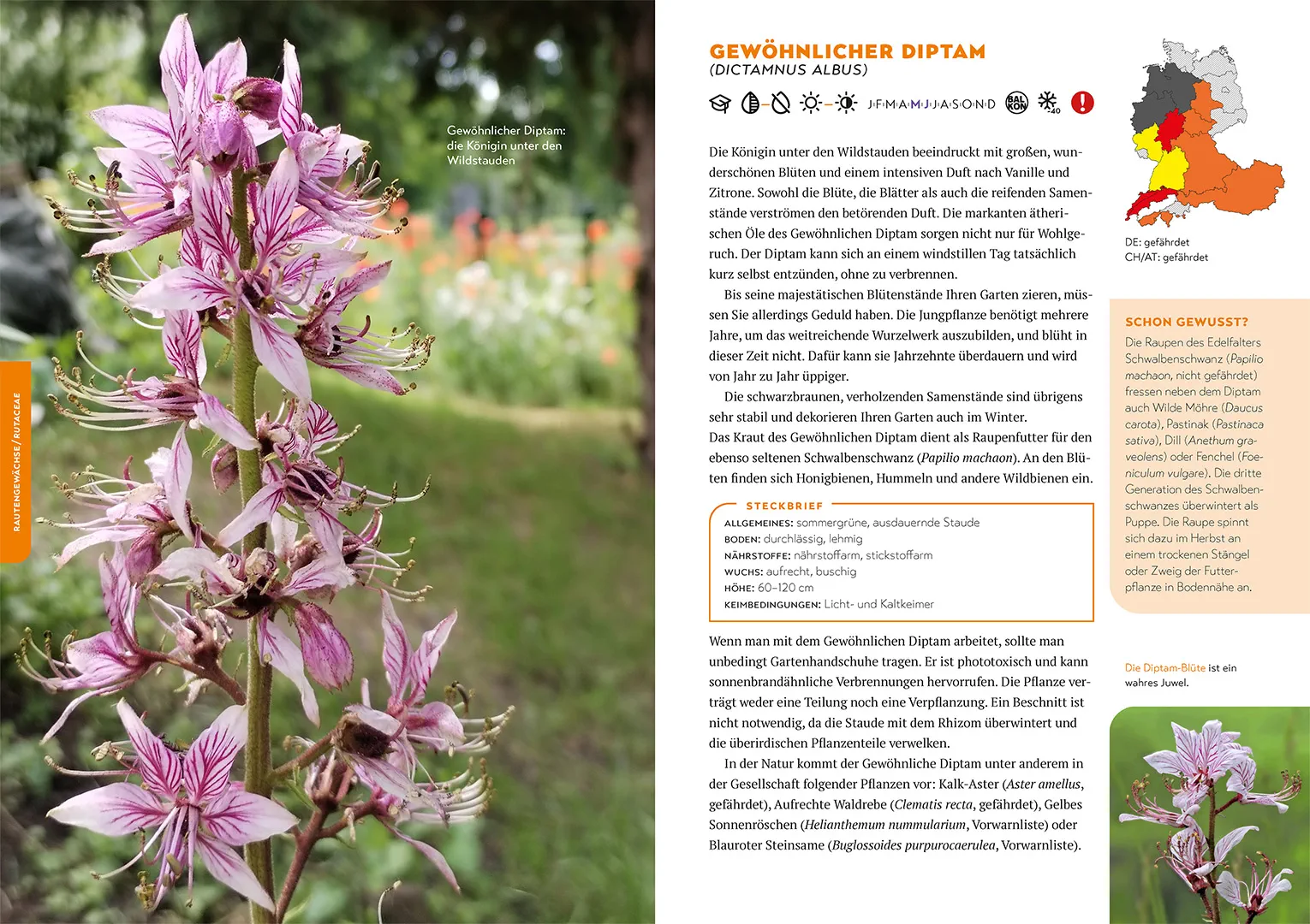Sample Content (Image) Mein Garten als Arche