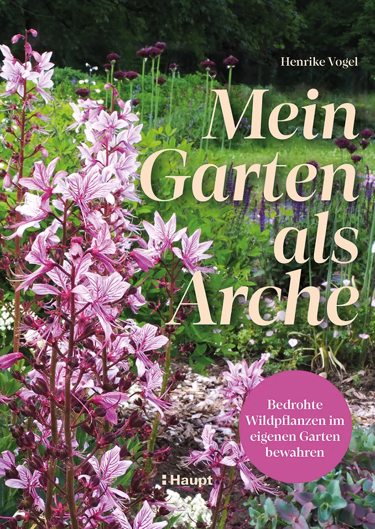 Front Cover Image Mein Garten als Arche