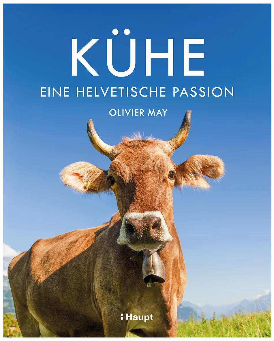 Front Cover Image Kühe