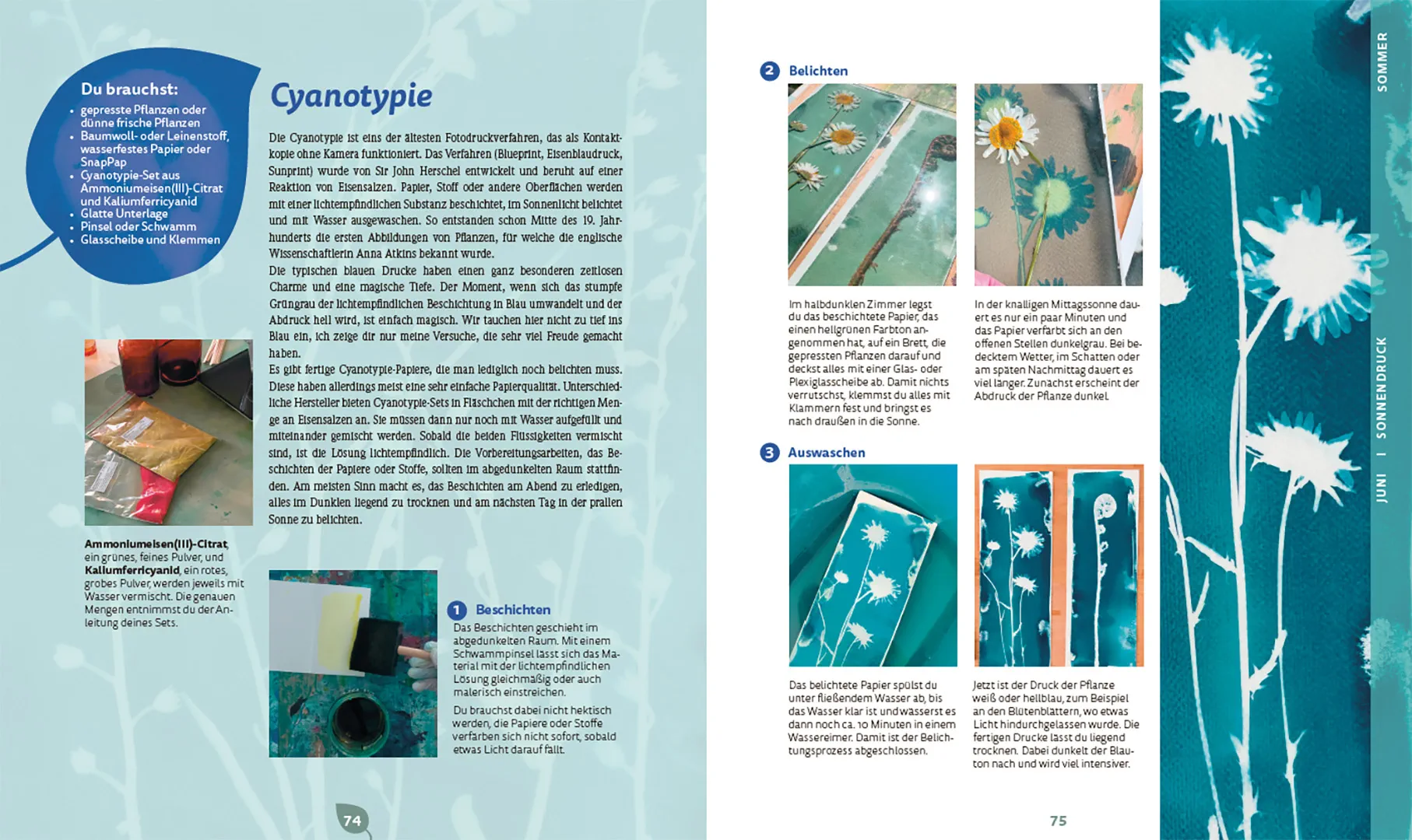 Sample Content (Image) Bunte Blätter