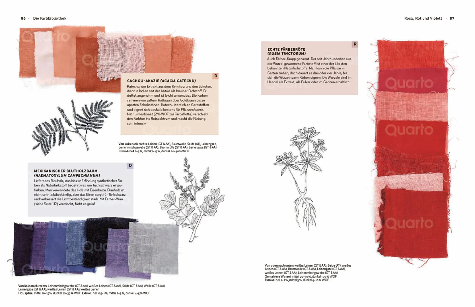 Sample Content (Image) Das Handbuch der Pflanzenfarben