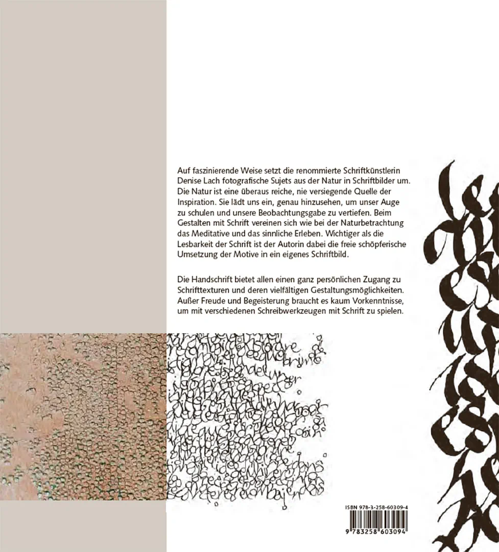 Back Cover Image Schriftspiele