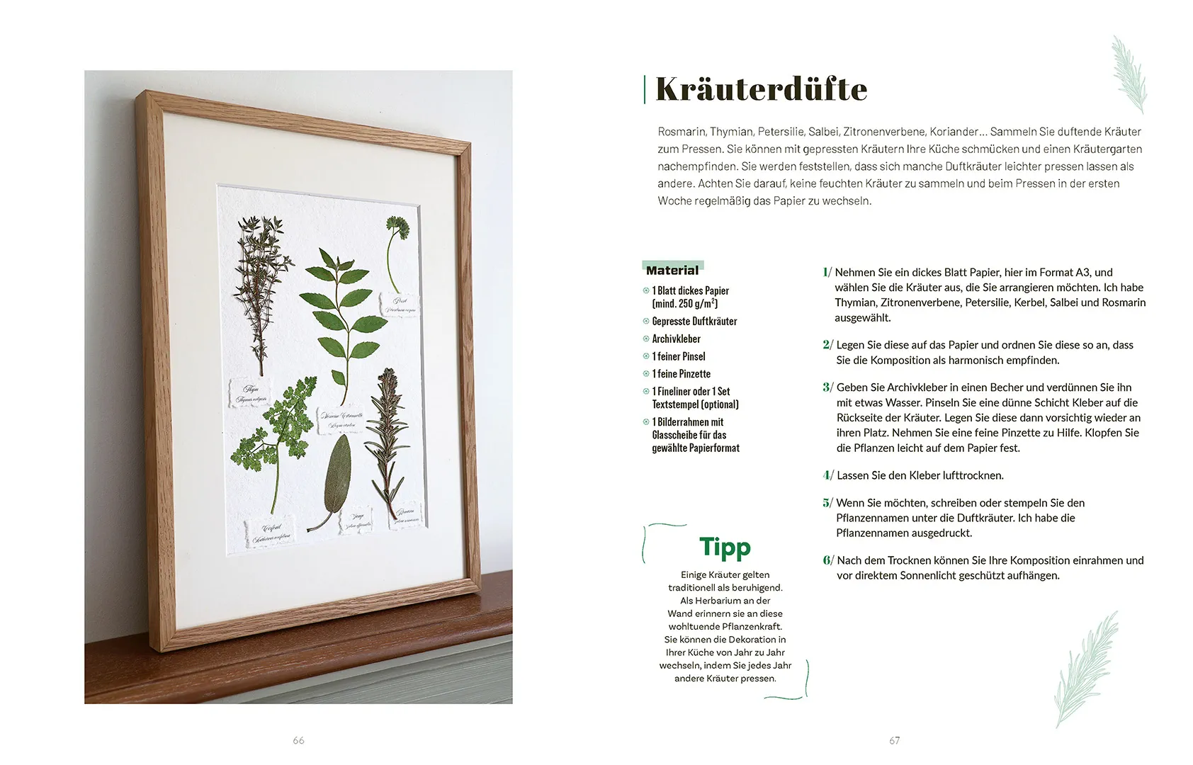 Sample Content (Image) Kunst aus Blatt und Blüte