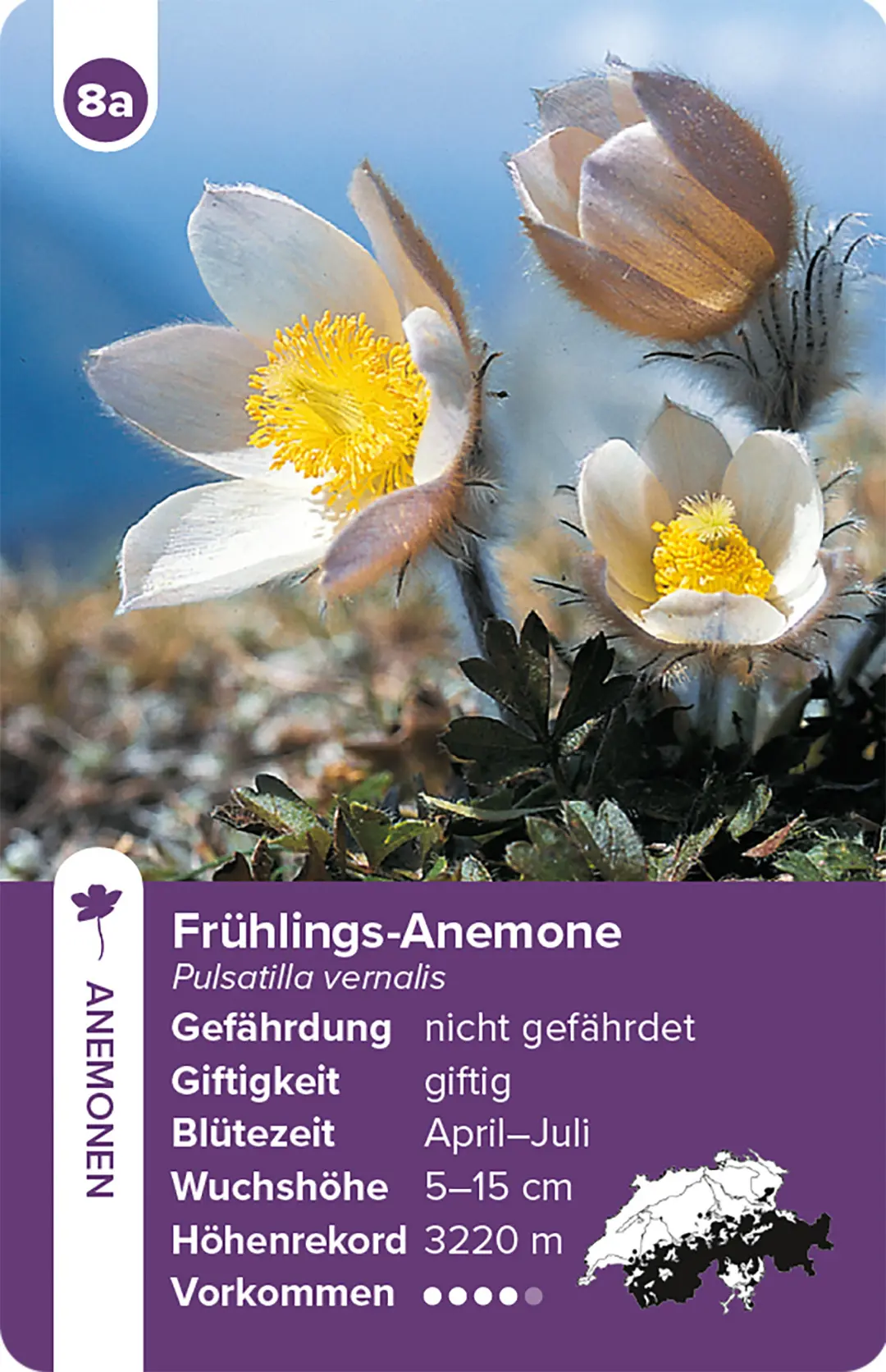Sample Content (Image) Flora Helvetica – das Quartett-Spiel