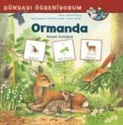 Vorderes Coverbild Dünyayi Ögreniyorum - Ormanda Resimli Sözlügüm