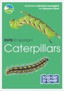 Vorderes Coverbild RSPB ID Spotlight - Caterpillars