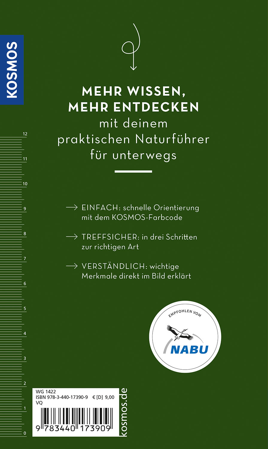 Rückseitencover BASIC Bäume