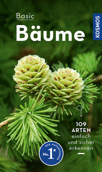Vorderes Coverbild BASIC Bäume