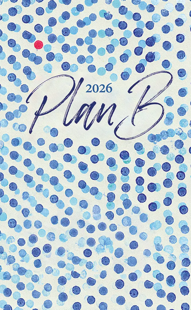 Vorderes Coverbild Plan B