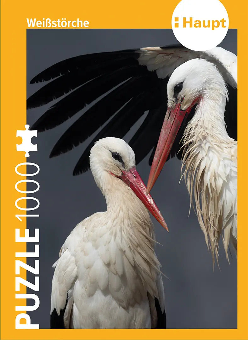 Vorderes Coverbild Weißstörche – Puzzle