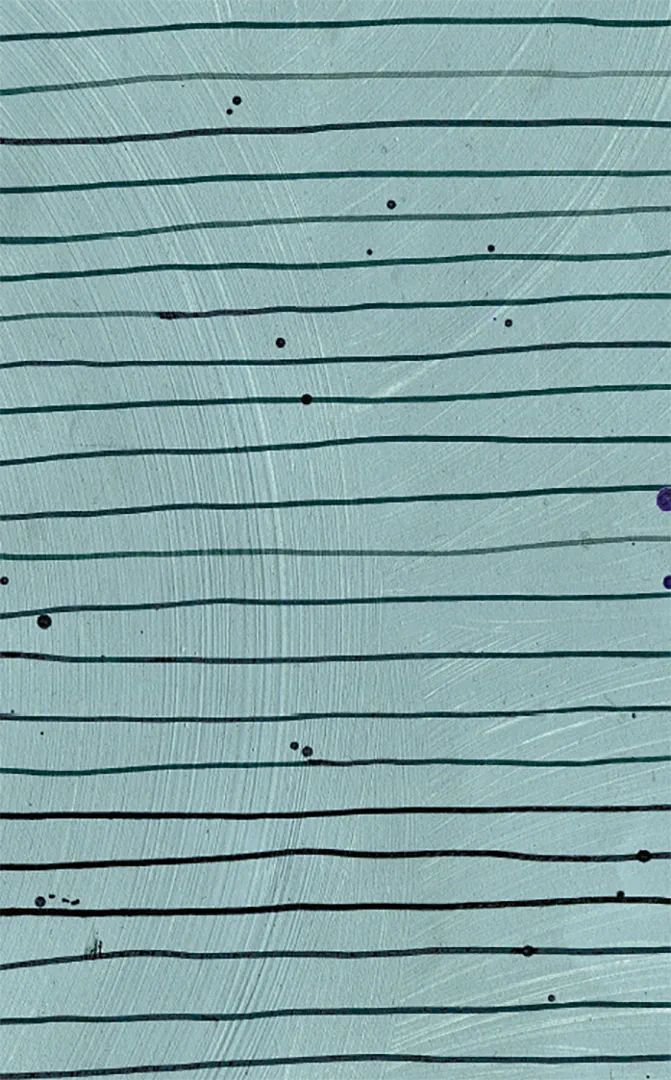 Rückseitencover Plan B 2027