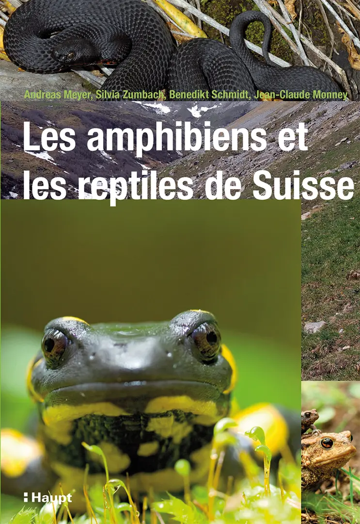 Vorderes Coverbild Les amphibiens et les reptiles de Suisse