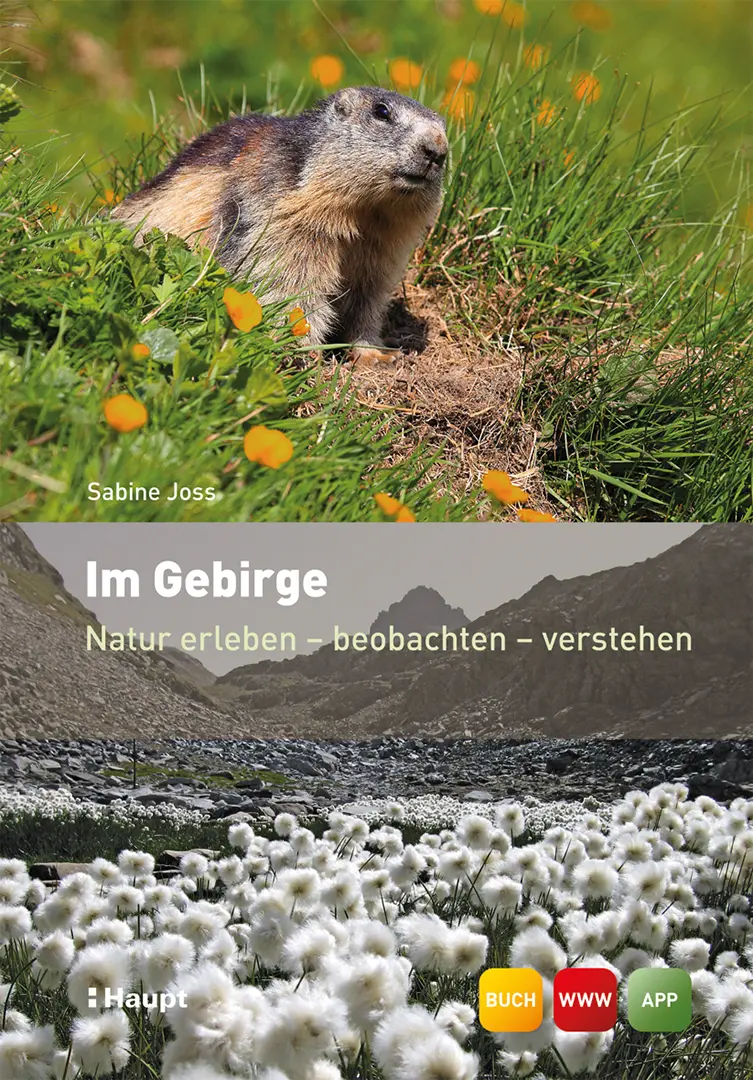 Vorderes Coverbild Im Gebirge