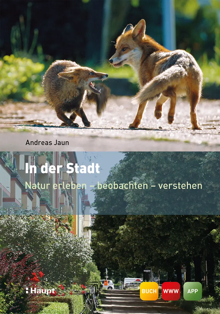Vorderes Coverbild In der Stadt