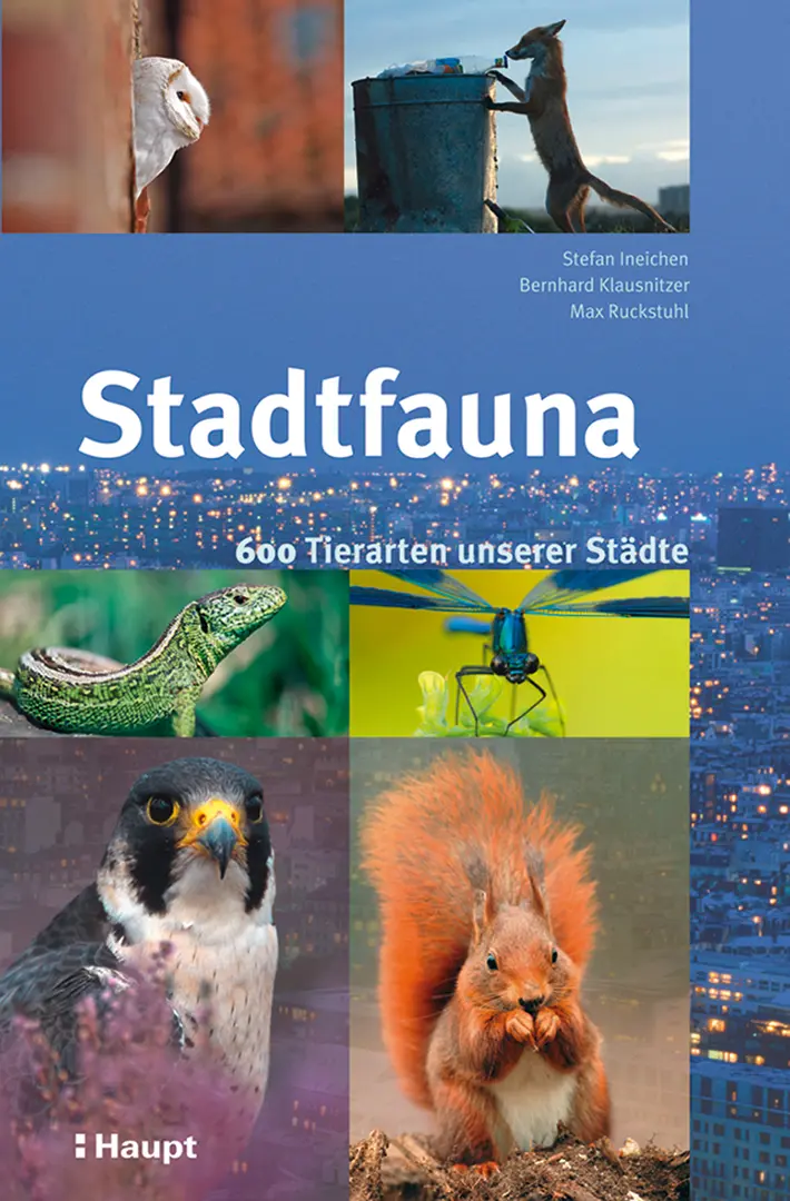 Vorderes Coverbild Stadtfauna