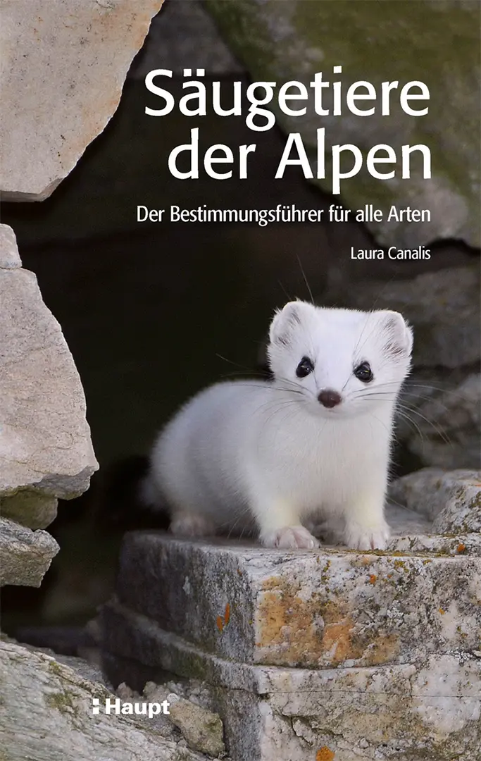 Vorderes Coverbild Säugetiere der Alpen