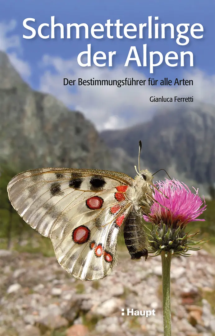 Vorderes Coverbild Schmetterlinge der Alpen
