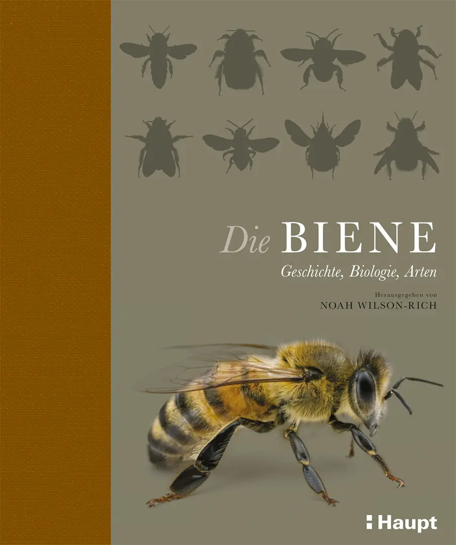 Vorderes Coverbild Die Biene