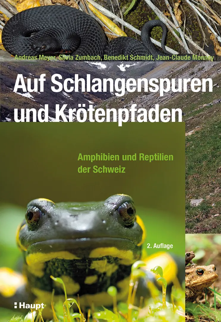 Vorderes Coverbild Auf Schlangenspuren und Krötenpfaden