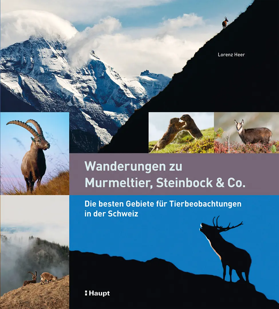 Vorderes Coverbild Wanderungen zu Murmeltier, Steinbock & Co.