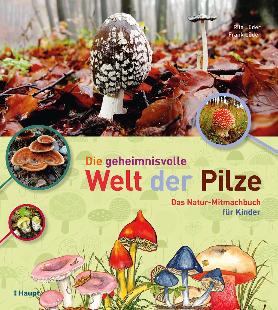 Vorderes Coverbild Die geheimnisvolle Welt der Pilze
